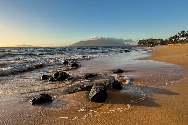 Beach featuring golden sand and distinctive lava rock formations along the shoreline.