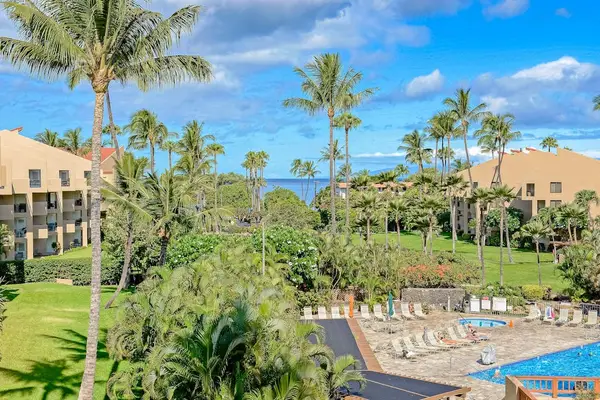 Resort grounds surrounded by lush tropical palms