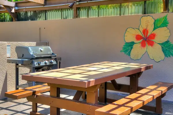 Outdoor barbecue area with picnic seating