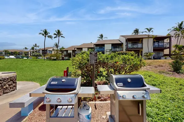 Outdoor BBQ Picnic Area