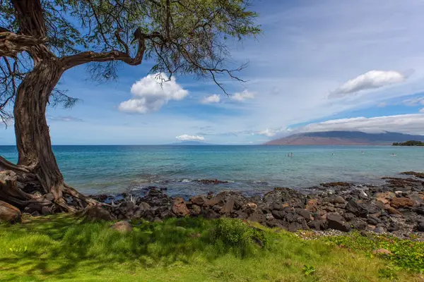 Peaceful coastal scenery with sweeping ocean views