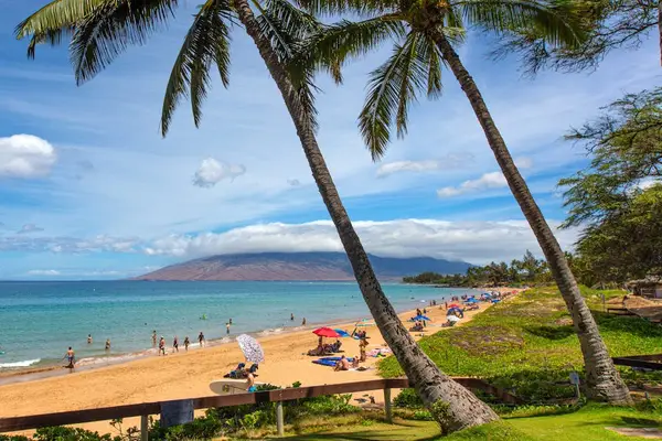 Palm-framed beach view with brilliant blue water