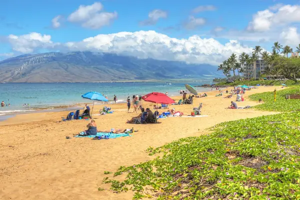 Sandy beach framed by beautiful island scenery