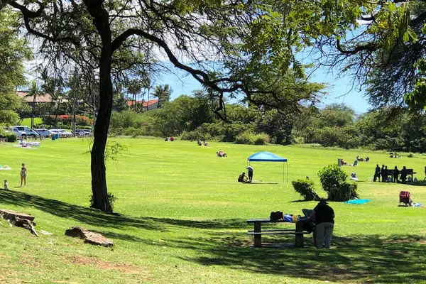 Shaded oceanfront lawn beneath mature tropical trees