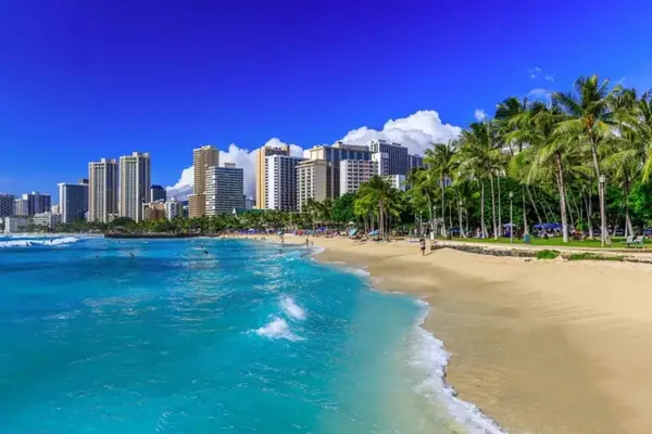 Waikiki Beach shoreline with turquoise water and swaying palms