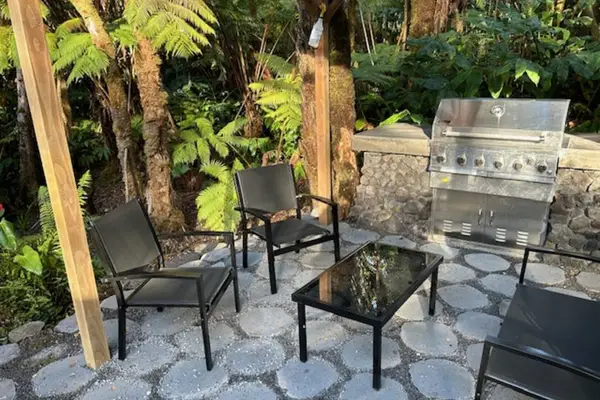 Sit outside and enjoy a glass of wine while you cook on your gas grill.