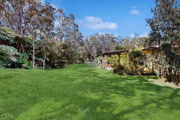 Expansive Lawn Surrounded By Tropical Beauty