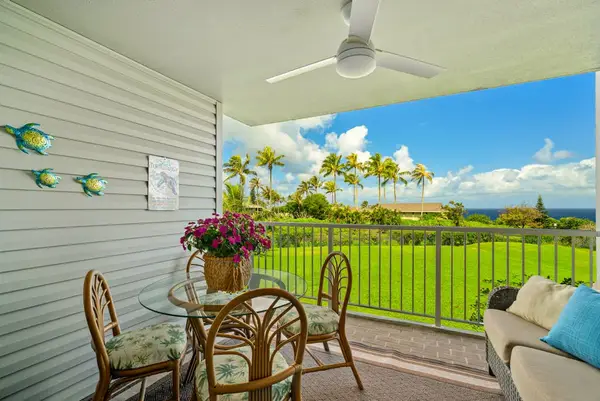 Bright windows bring tropical scenery into every moment