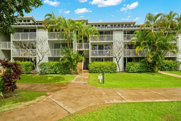Unwind beneath swaying palms and tropical greenery daily