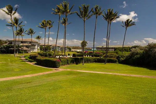 Expansive Golf Course Panorama