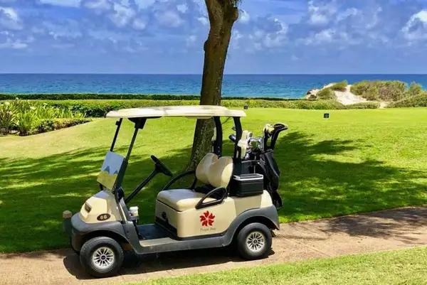 Golf Cart Ready Adventure