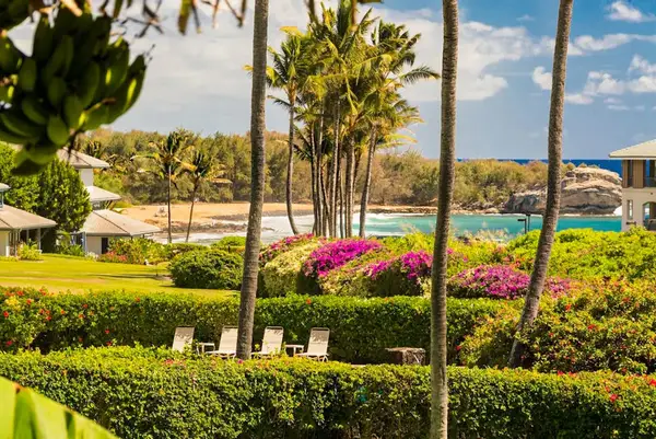 Lush Tropical Fairway Views