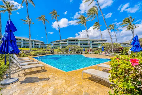 Resort Style Pool Paradise