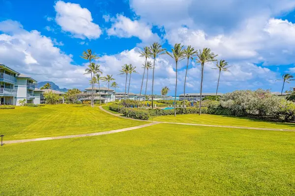 Wide Open Island Greens