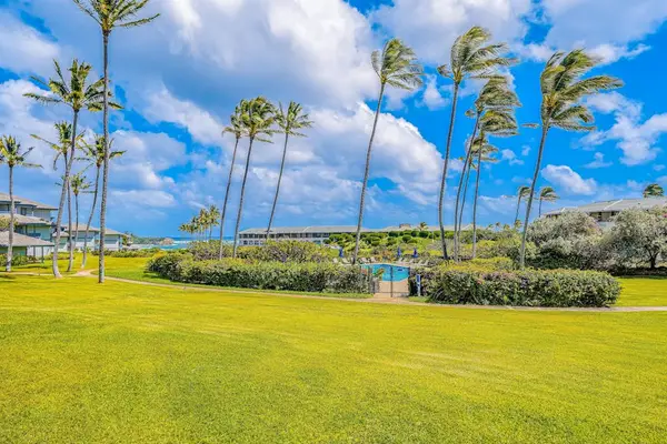 Palm Lined Island Oasis