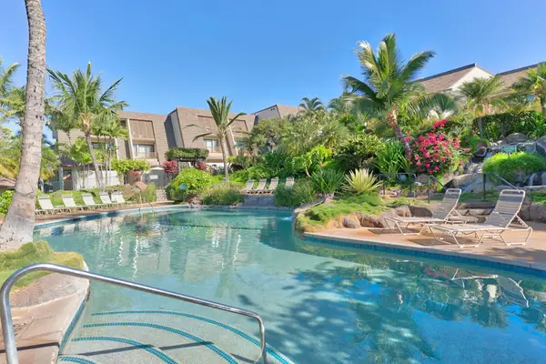 Tropical Lagoon Pool and Lounge Chairs