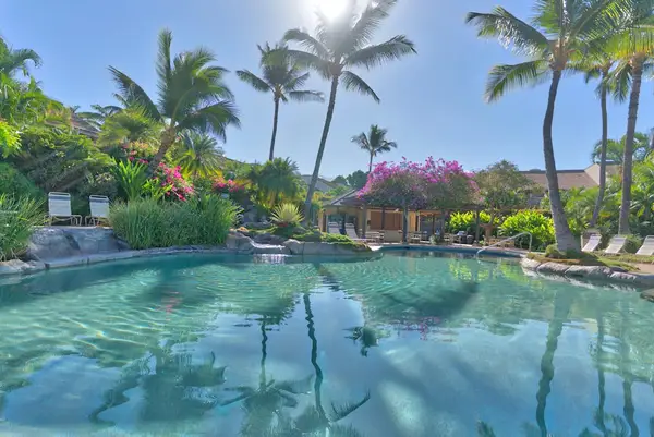 - Wide Sunlit View of Lagoon Pool and Water Feature