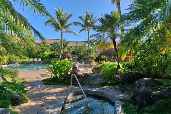 Resort Grounds - Tropical Hot Tub Spas Surrounded by Lush Palm Trees