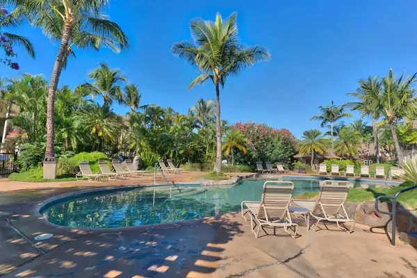 Shallow Pool Entry with Lounge Chairs and Palms