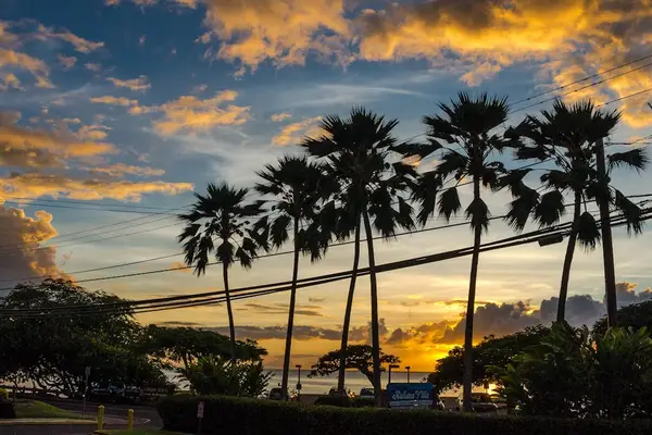 Beautiful sunset view