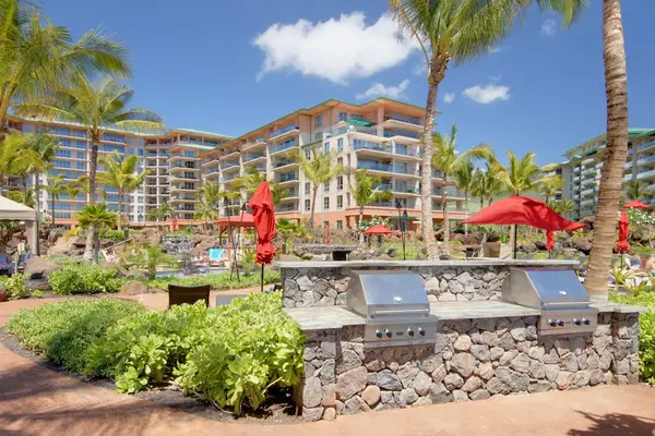 Outdoor Barbecue In A Tropical Oasis