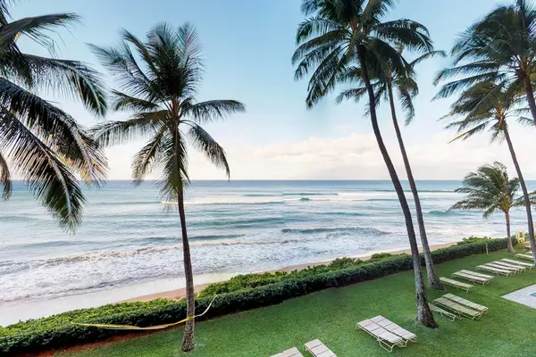 Palm Framed Pacific Paradise
