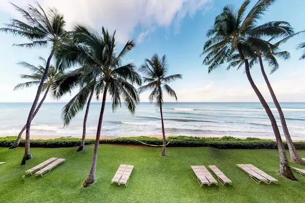 Oceanfront Hammock Worthy Lawn