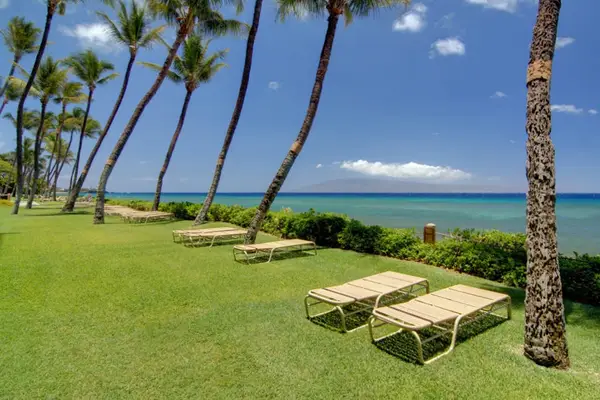 Beachfront Sunbathing Haven
