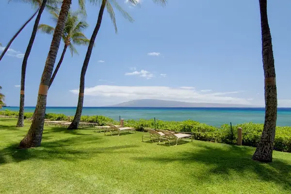 Lush Oceanfront Lawn Retreat