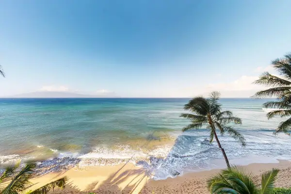 Endless Ocean Views Await