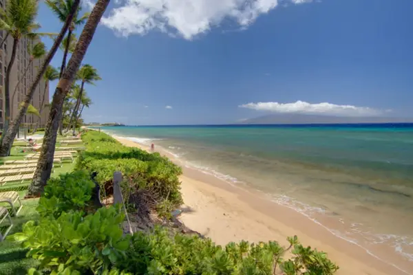 Secluded Beach Just Steps Away
