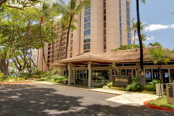 Resort Arrival With Tropical Elegance
