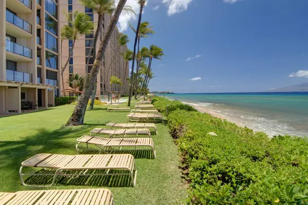 Lawnside Path To The Beach