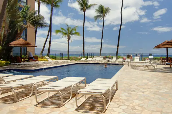 Poolside Paradise By The Ocean