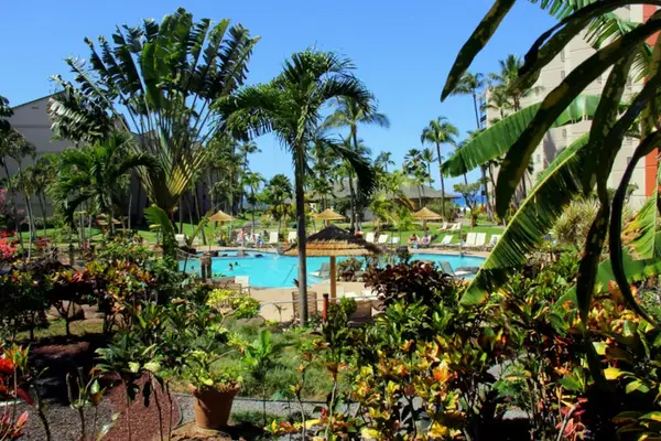 Lush Tropical Grounds Surrounding Paradise