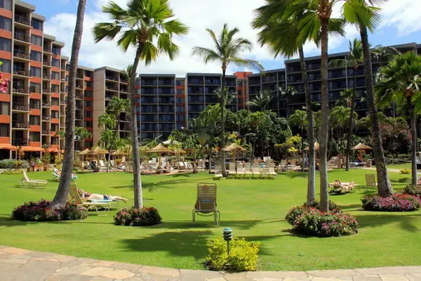 Palm Lined Resort Gardens To Explore