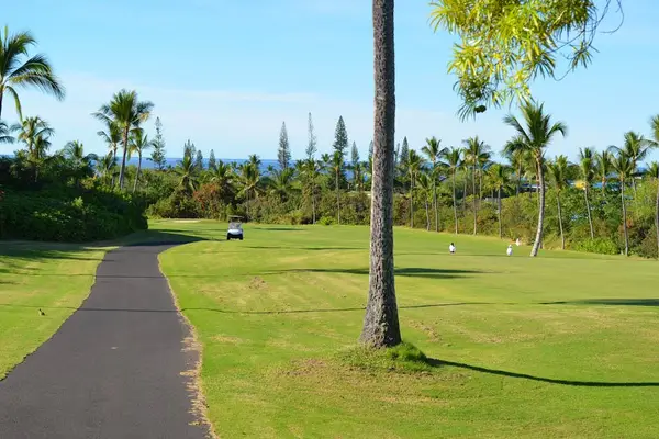 Scenic Walking Paths Through Tropical Beauty