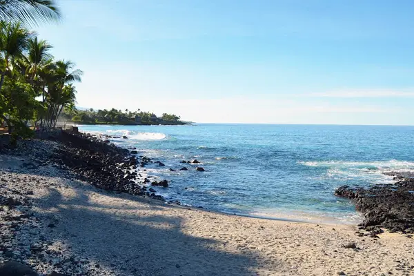 Steps Away From The Ocean's Edge