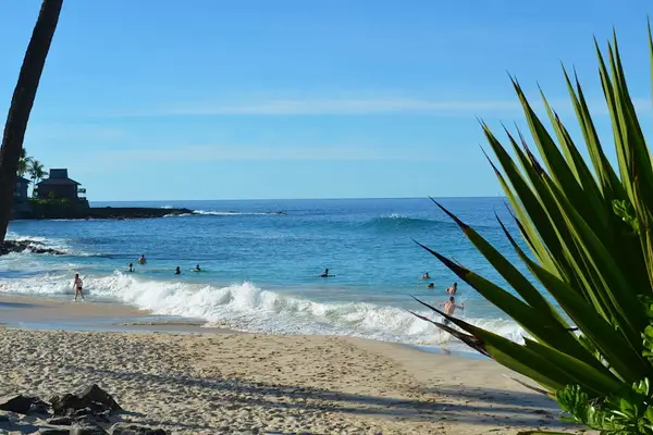 Paradise Beach Just Moments Away