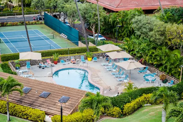 Tropical Pool Oasis From Above