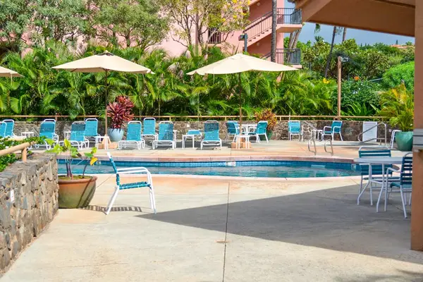 Resort Style Pool Surrounded By Palms
