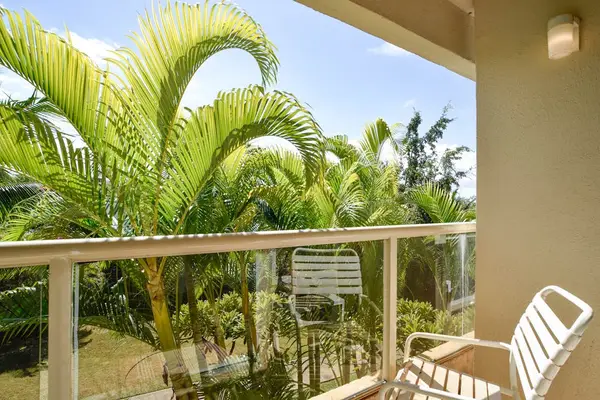 Covered lanai overlooking peaceful tropical greenery