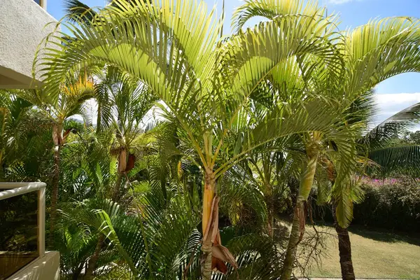 Covered lanai with relaxing tropical views
