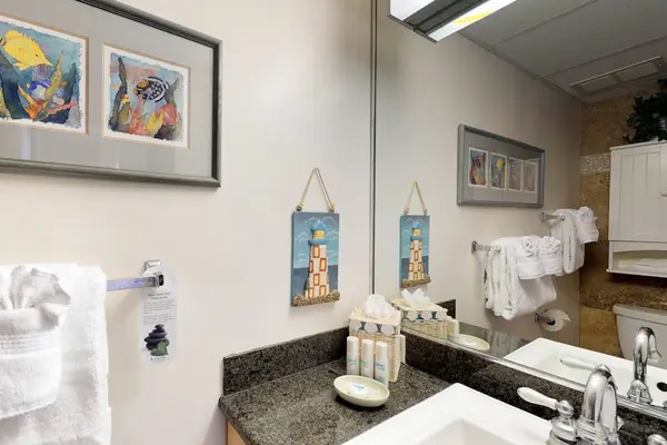 Spa Style Vanity With Resort Comfort
