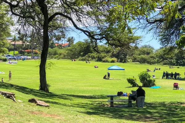 Grassy Park Area Steps from the Property