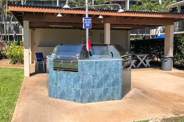 Multi-Grill Outdoor Cooking Area & Pavilion