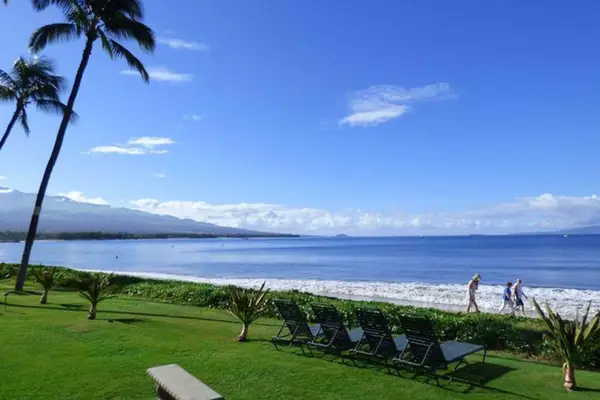 Lawn Views Stretching To The Ocean