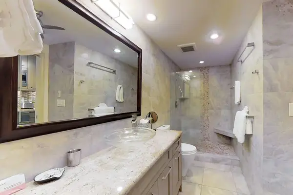 Spa Inspired Luxury Bathroom