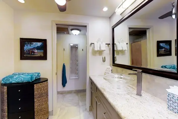 Spa Inspired Luxury Bathroom