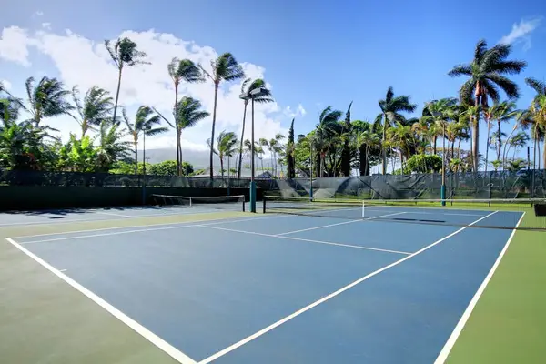 Championship Tennis Courts Under The Palms